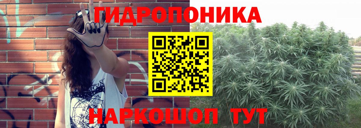 Канабис сатива  МАРИХУАНА Amnesia  Нягань  Вход с VPN  Бошки марихуана OG Kush  Конопля планчик 